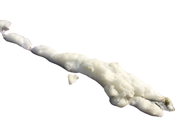 coughing and throwing up white foam