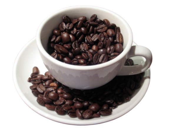 coffee grounds vomit
