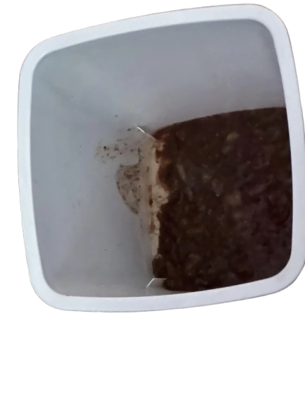 thick vomit